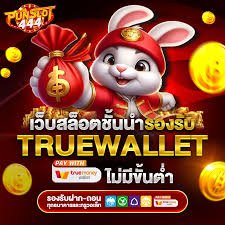 สล็อตtruewallet รวดเร็ว ปลอดภัย